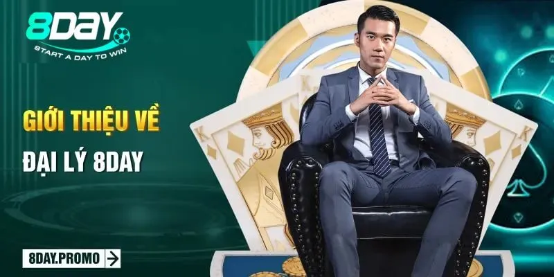 Tổng quan về đại lý 8DAY