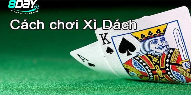 Hướng dẫn tân binh cách chơi Xì Dách đúng chuẩn 2025